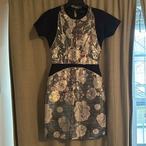 Metallic and Mesh Dress